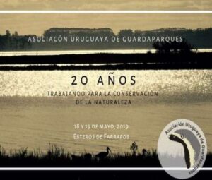 Nuestros 20 años